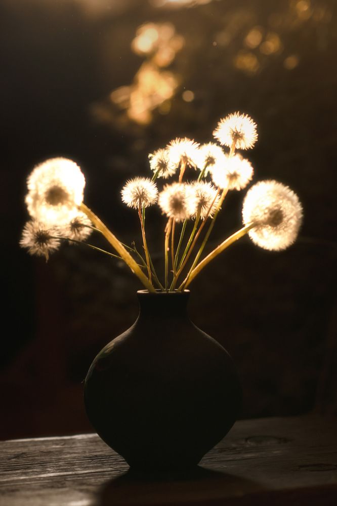 Photograph by Ирина Ефимова