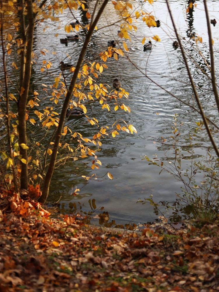 Photograph by Катерина Пристрем