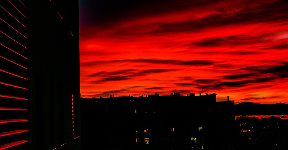 Photograph by Mario Zupanovic