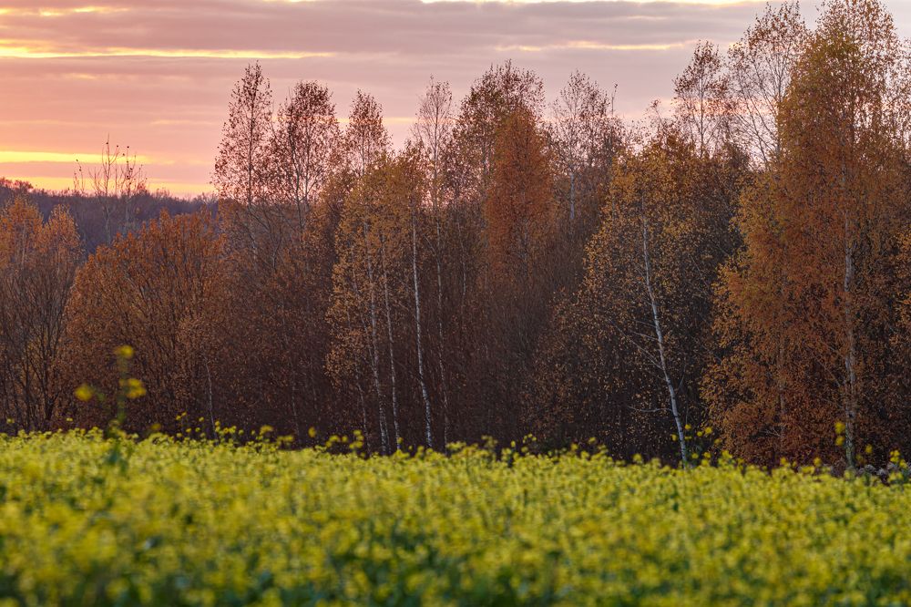 Photograph by Константин Панькин