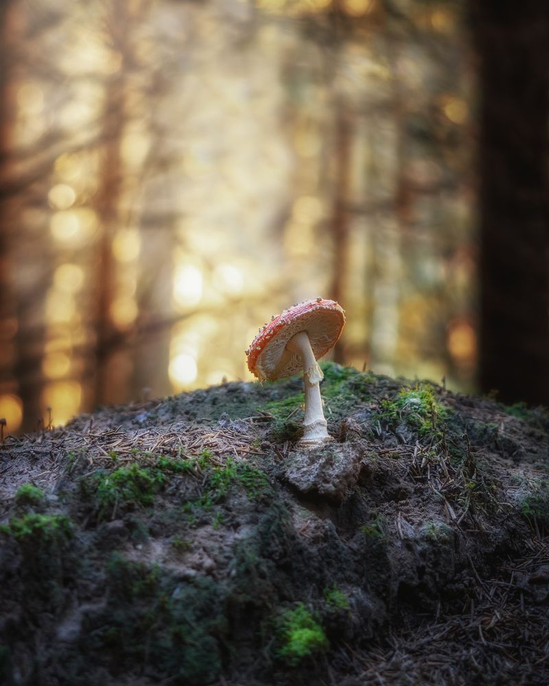 Photograph by Мозжухин Максим