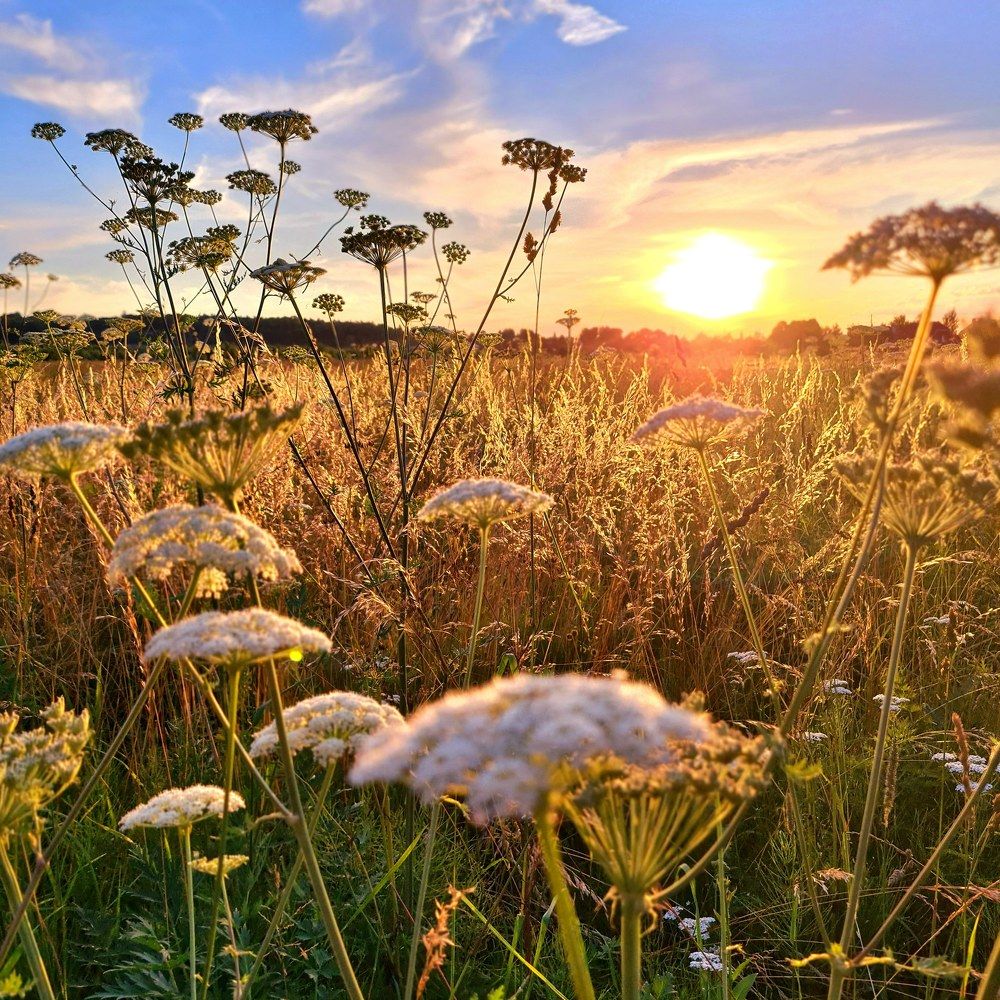 Истра закат