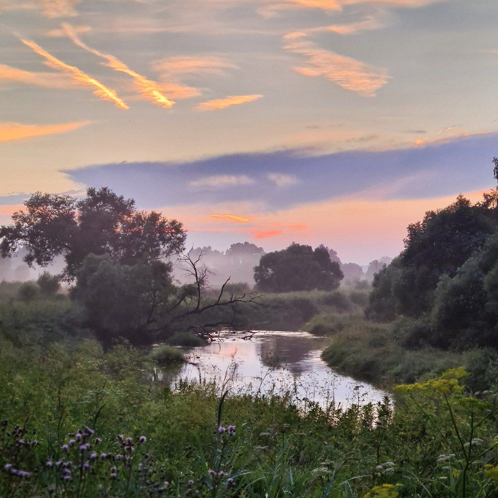 Photograph by Юлия Болдинова