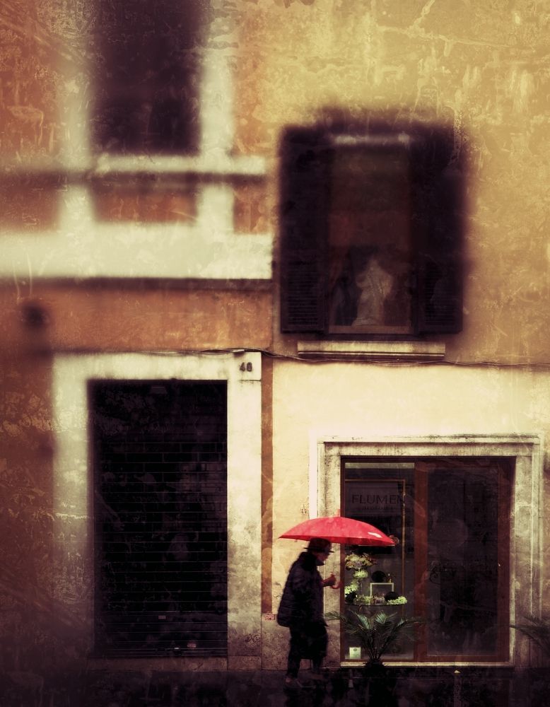 Фотография автора 