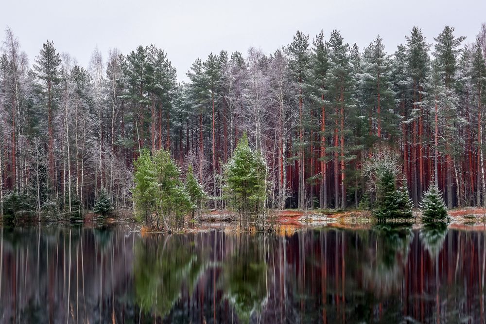 Photograph by Андрей