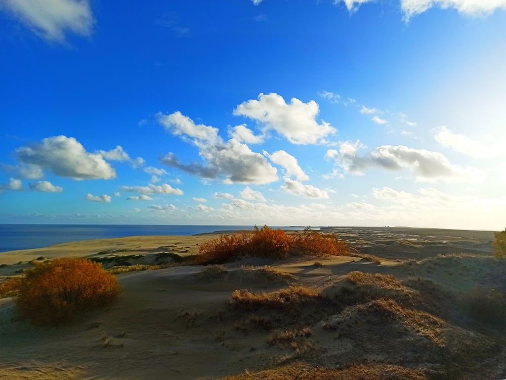 Photograph by Елена