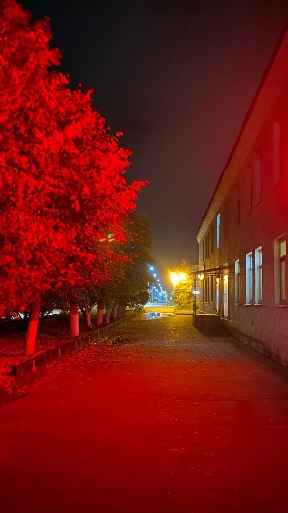 Photograph by Евгения