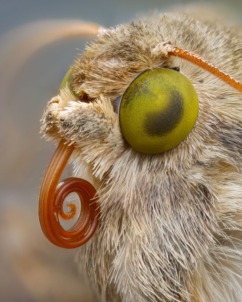 Photograph by Юрий Юрьевич