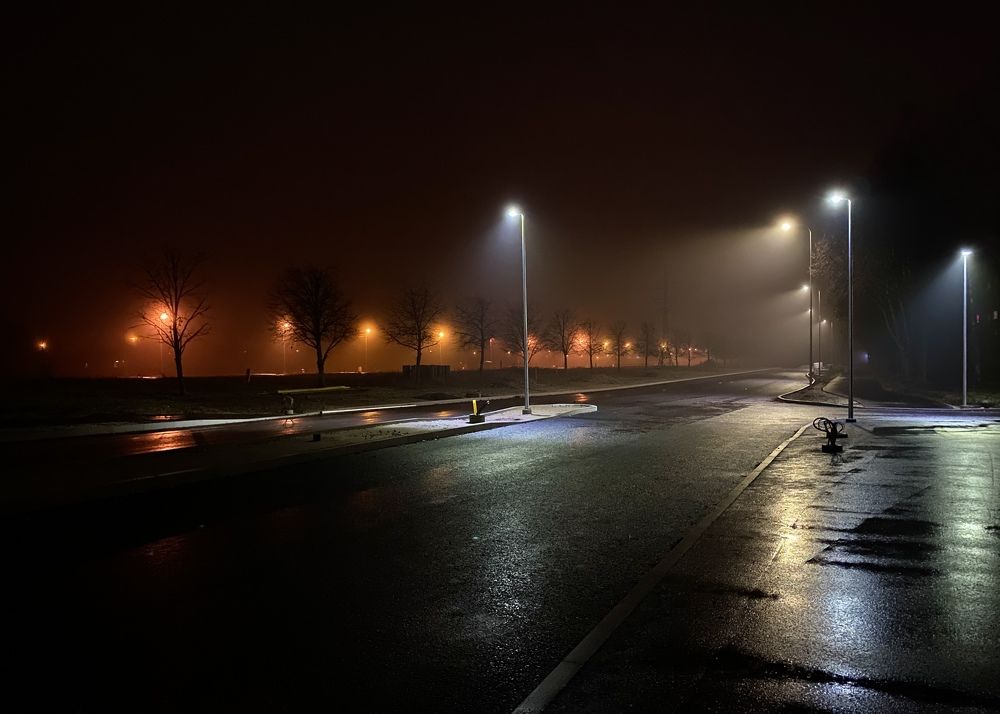 Photograph by Elena Kravchenko