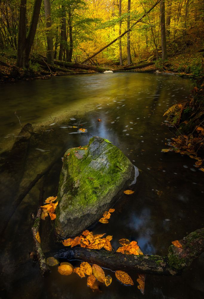 Photograph by Photo Visions