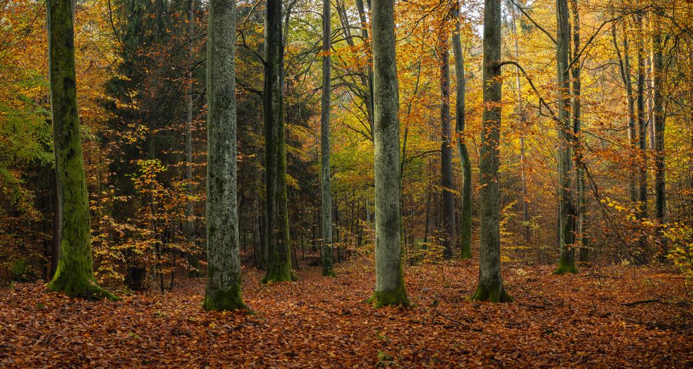 Photograph by Photo Visions