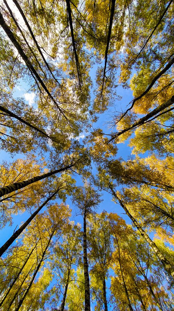 Photograph by Виталий Грачёв