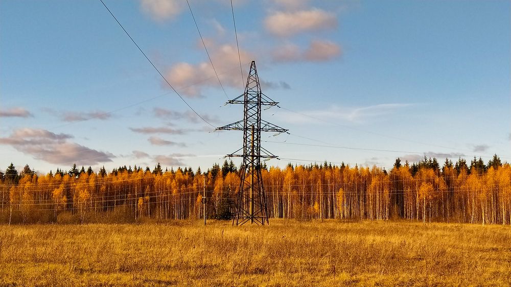 Photograph by Виталий Грачёв