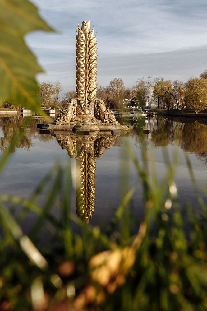 Колос в осени.