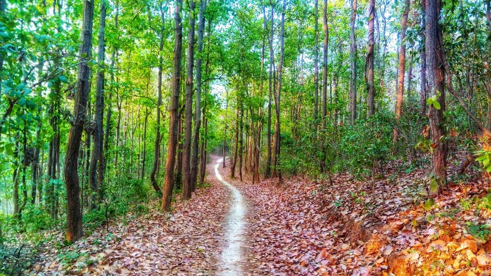 The Autumnal destination