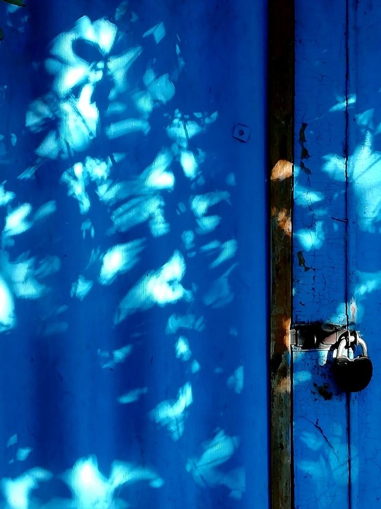 Photograph by Galina Novichkova