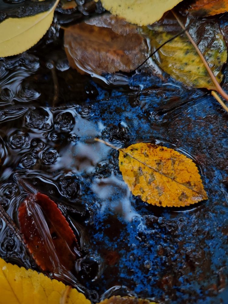 Photograph by Galina Novichkova