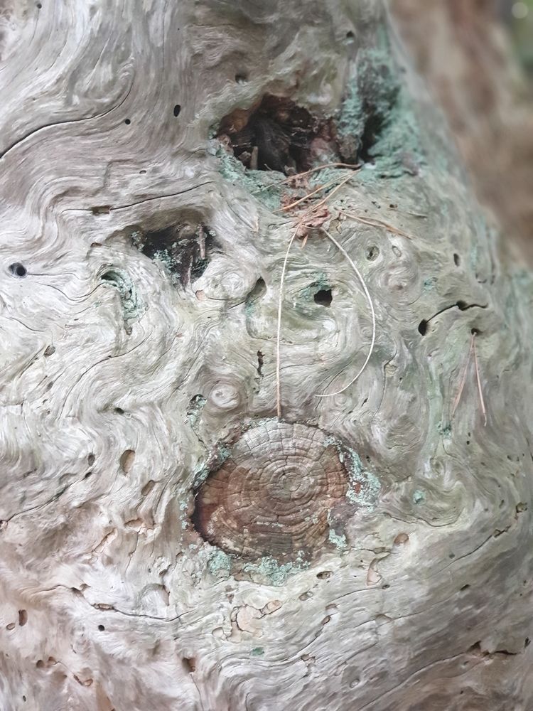 Фотография автора Тарасова Инна