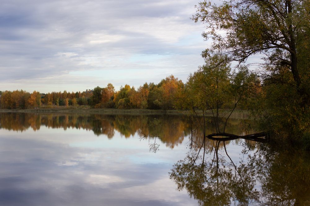 Photograph by Наталья Крапивина