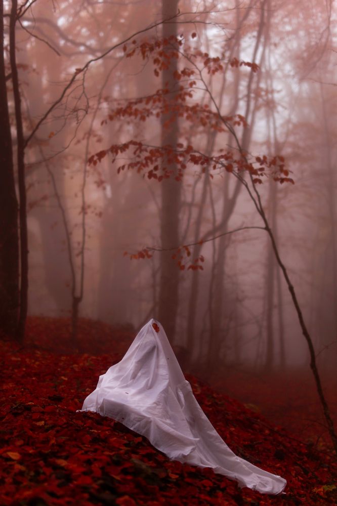 Photograph by Elina Astrapellou