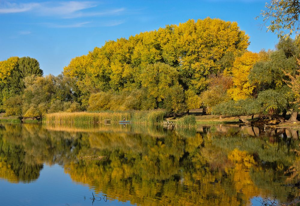 Photograph by Дима Токарев