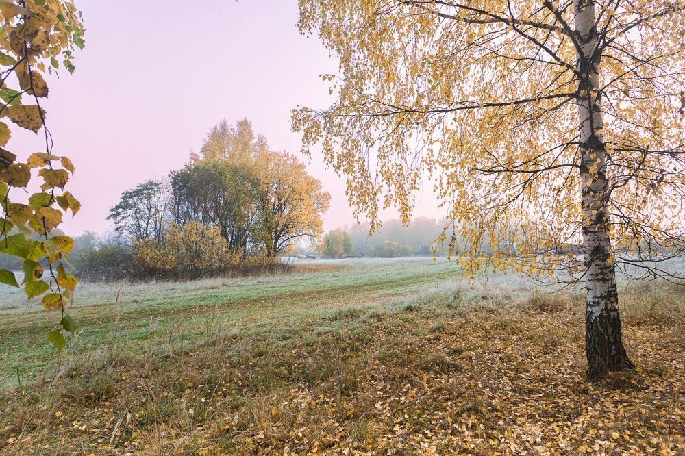 Photograph by Зеленько Дмитрий