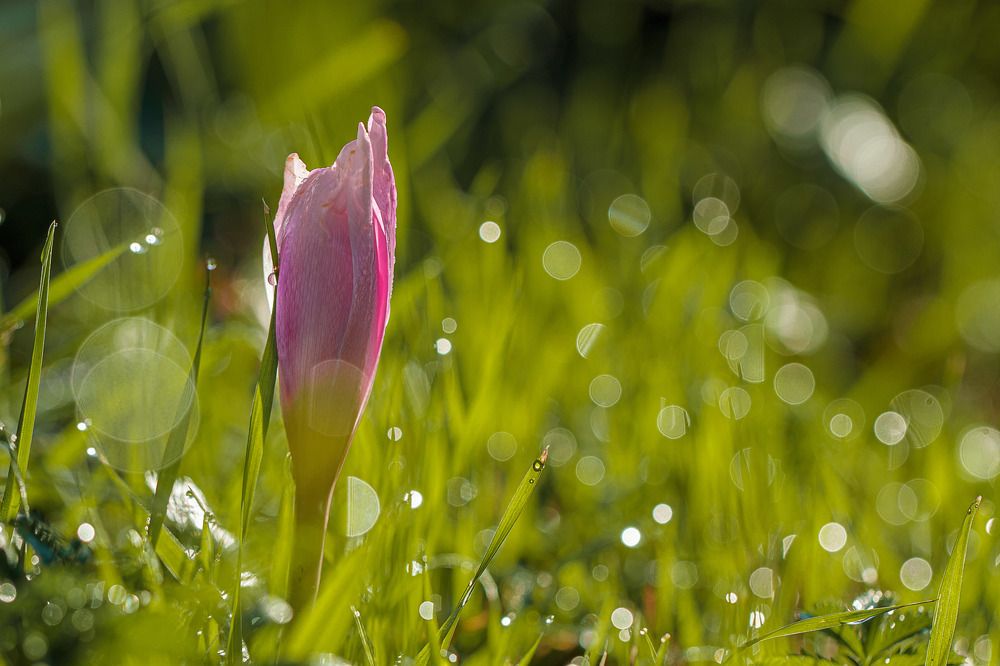 Photograph by Зеленько Дмитрий