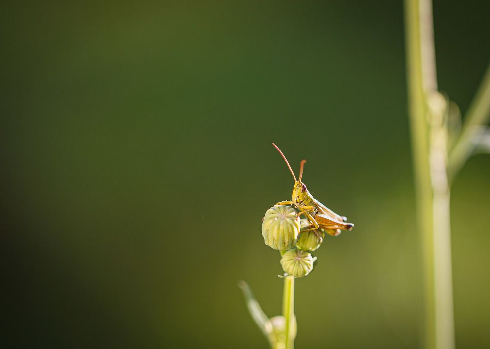 Photograph by Зеленько Дмитрий
