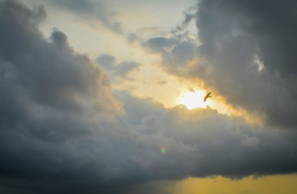 Фотография автора Shibnu