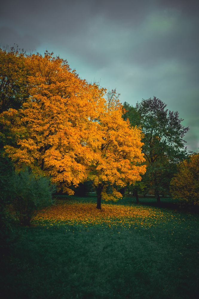 Photograph by Алексей