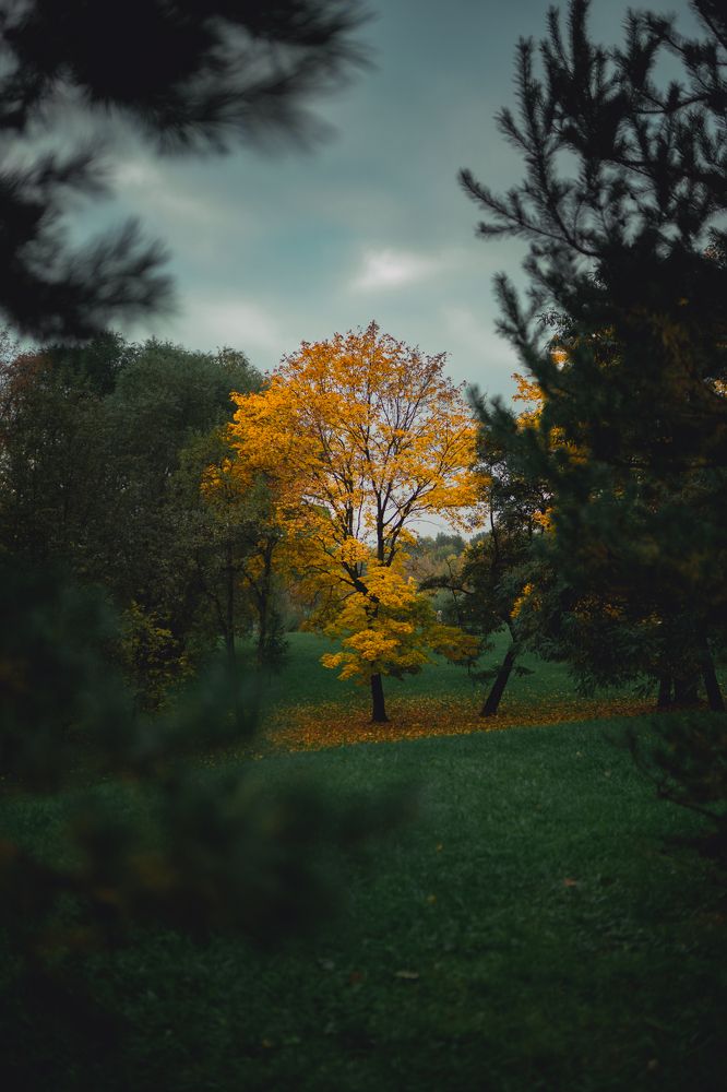 Photograph by Алексей