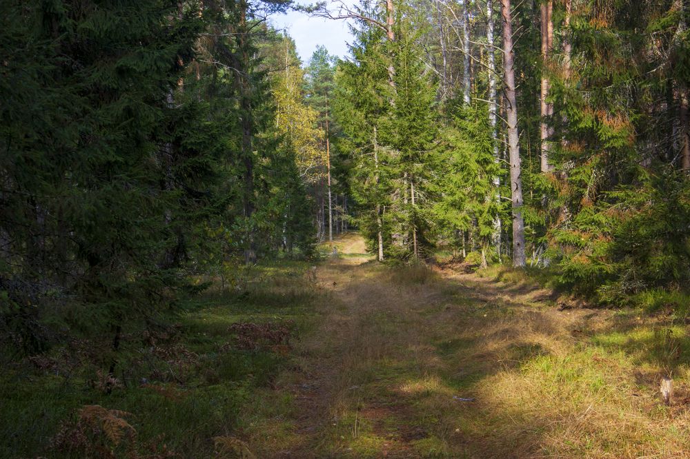 Photograph by Анна-Лаймуте Милошевич