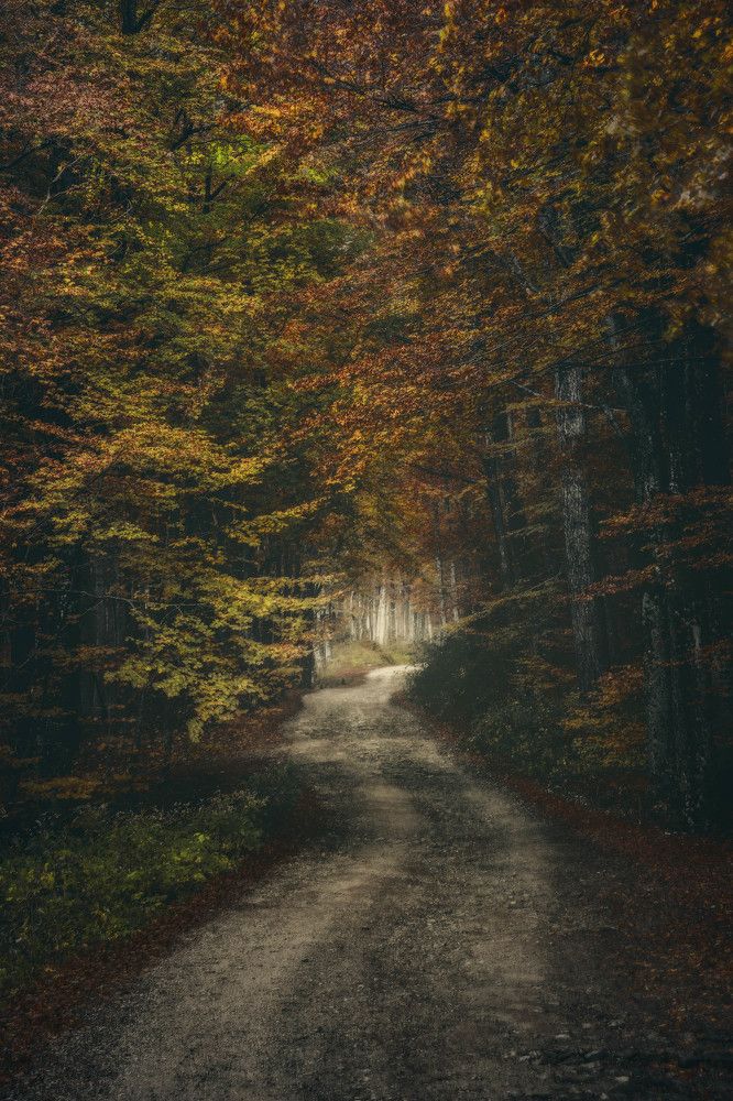 Photograph by Cesare Malatesta