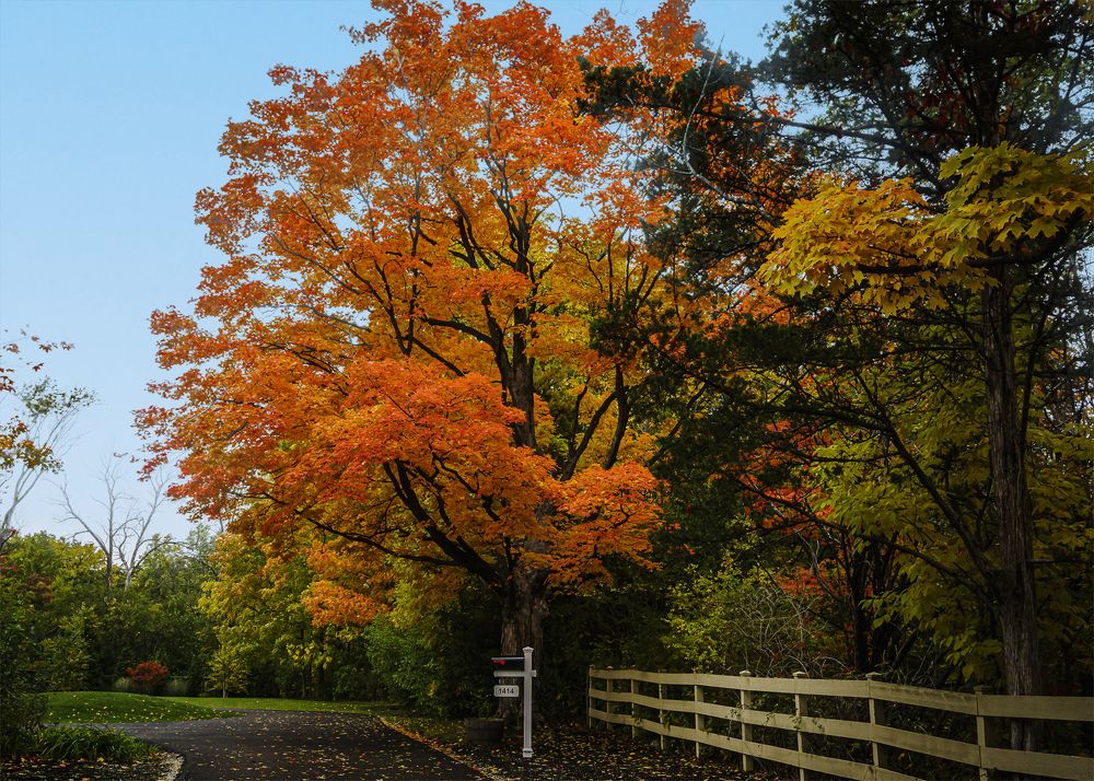 Photograph by Silvia Marcos
