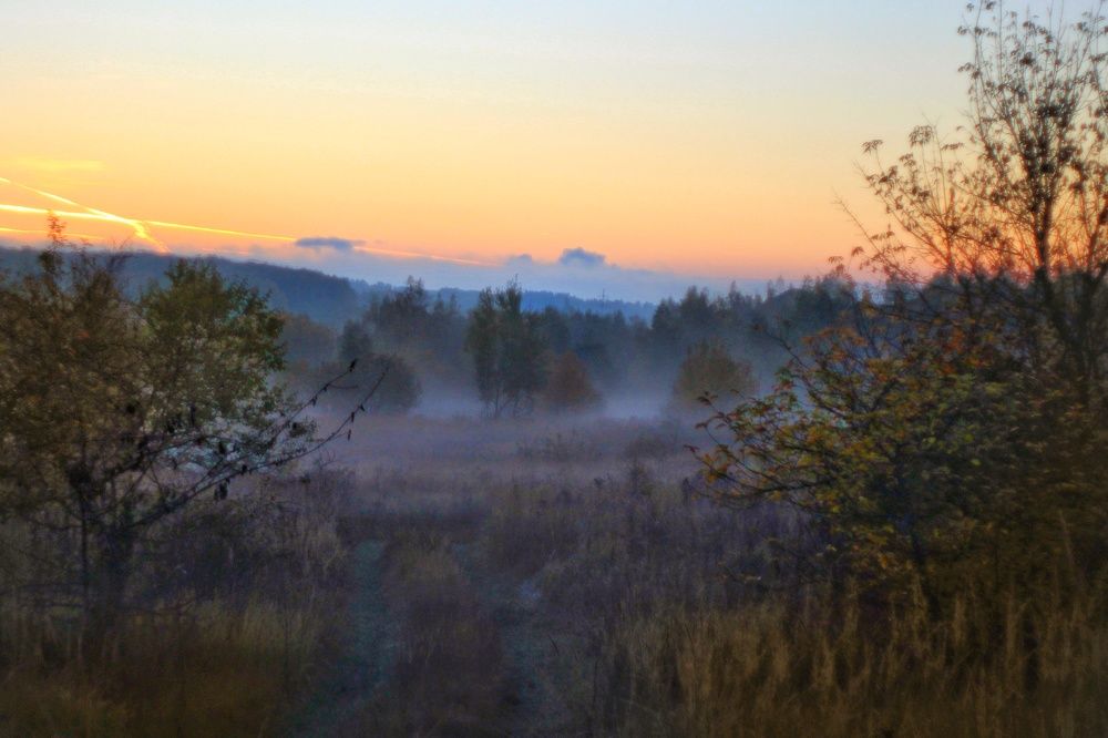 Photograph by Инна Карасева