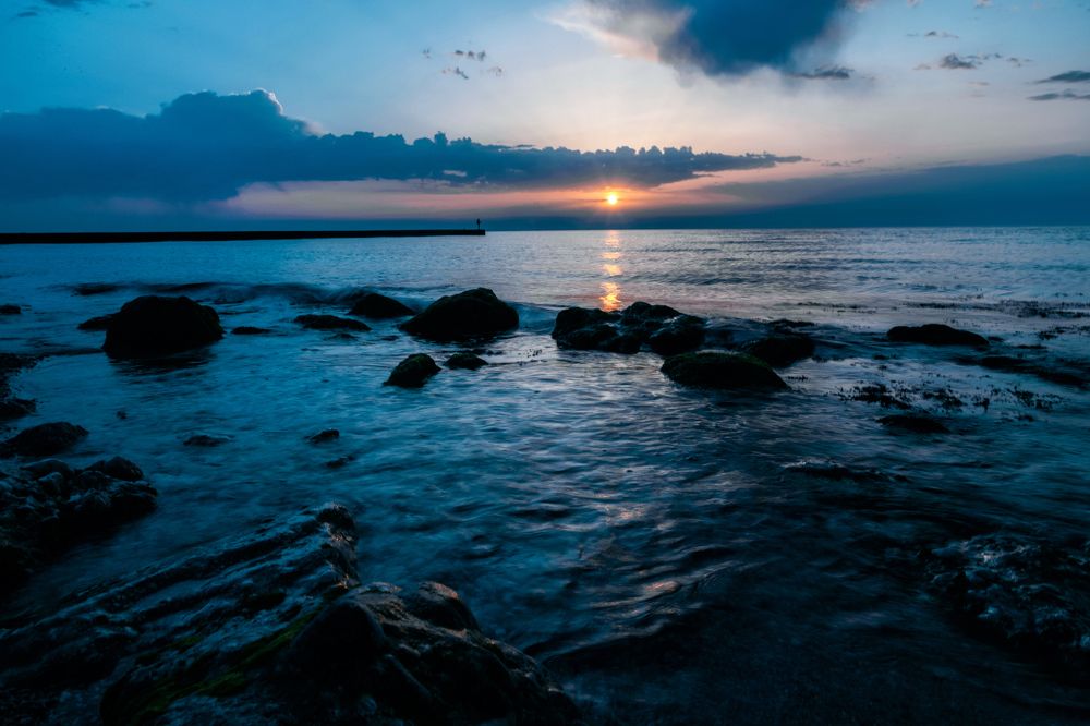 Photograph by EKATERINA WALTER