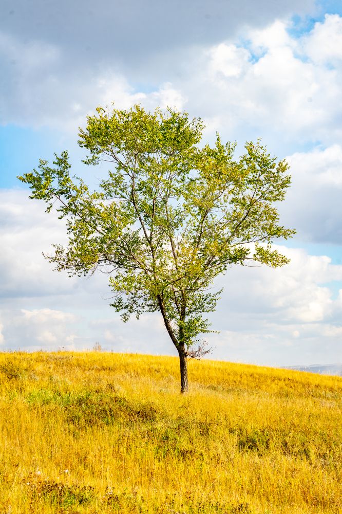 Photograph by Виталий Гавронский