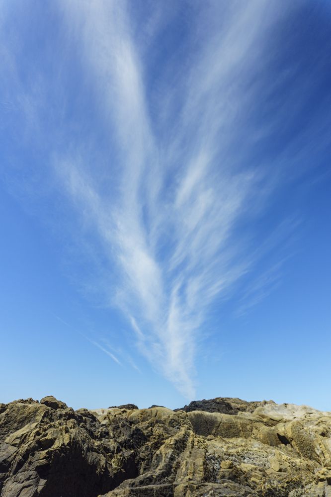 Photograph by Silvia Marcos