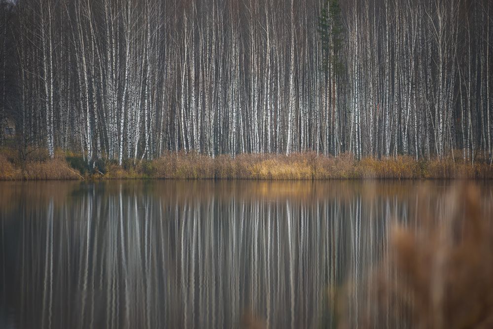 Photograph by Алексей Соколов