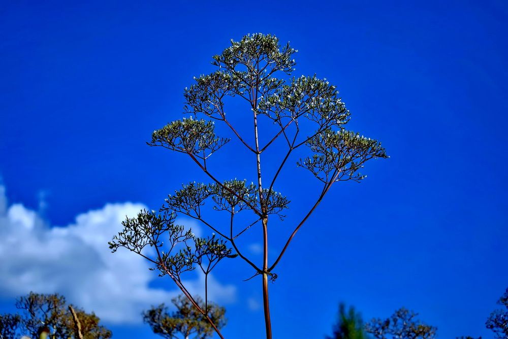 Photograph by НИНА АВЕРЬЯНОВА