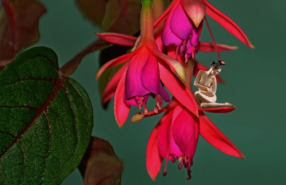 Цветочная фея.