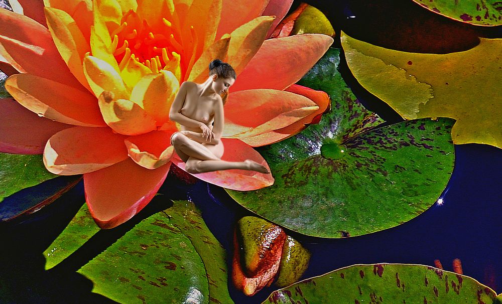 Королева царства лотосов.