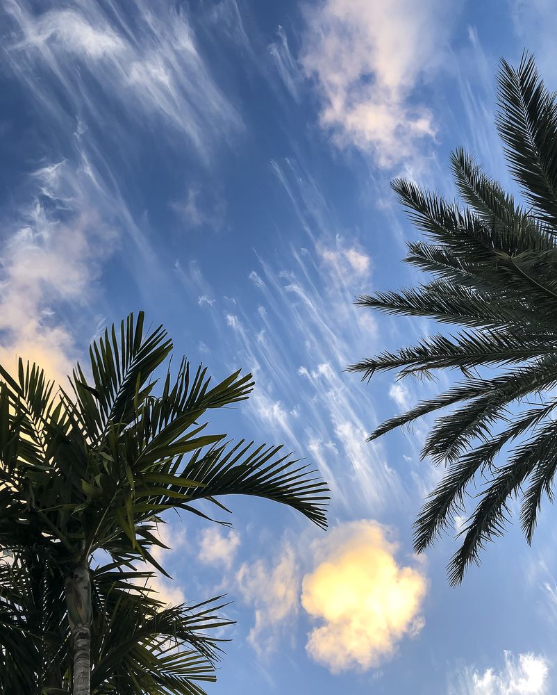 Photograph by Silvia Marcos