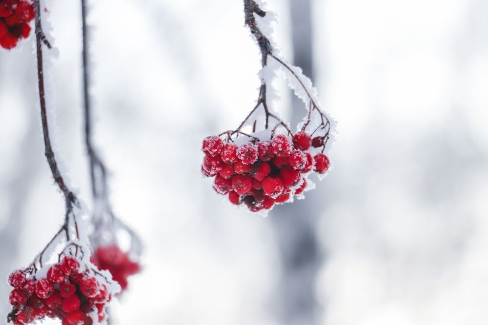 Photograph by Анна Вербилова