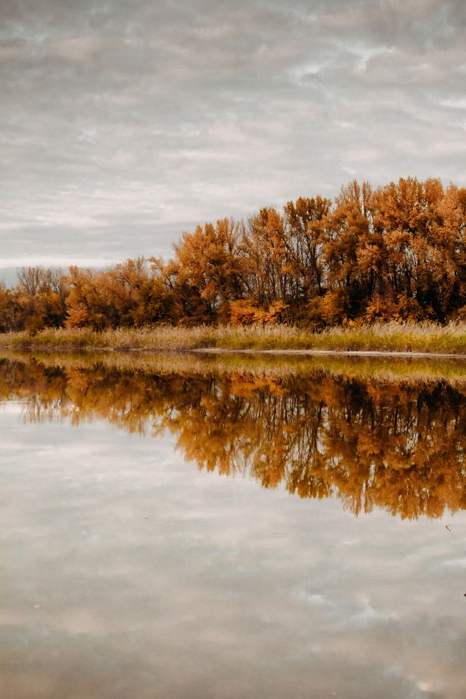 Фотография автора Марина
