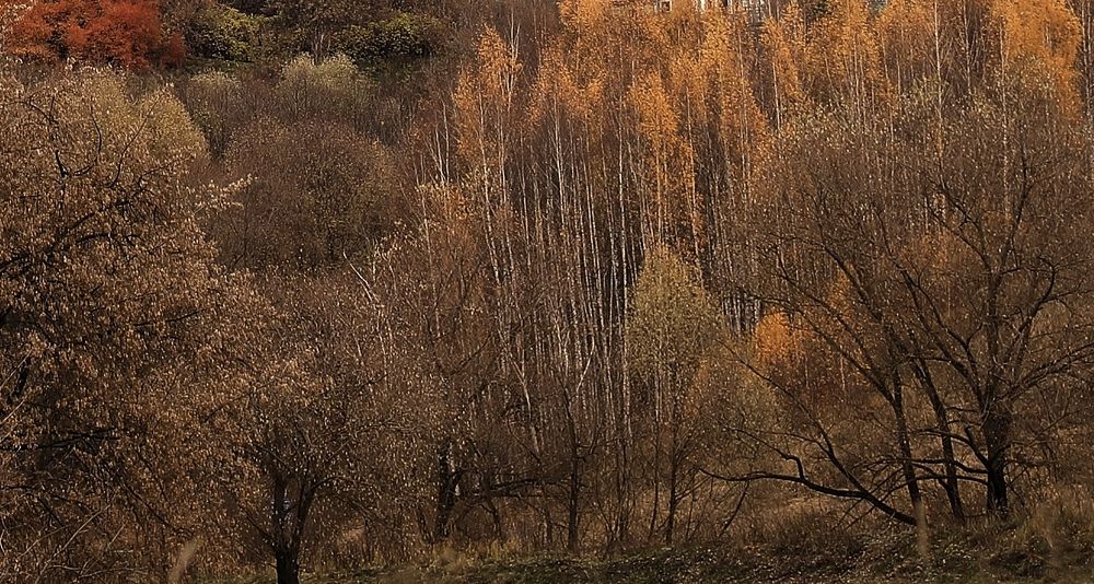 Photograph by Елена Одынец