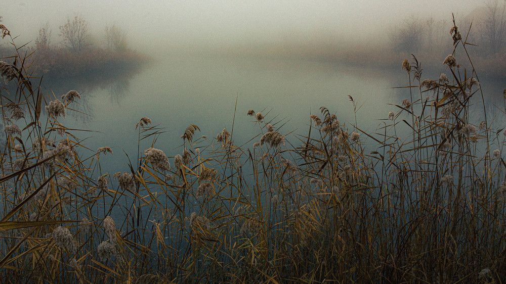 Photograph by Суханкина Елена