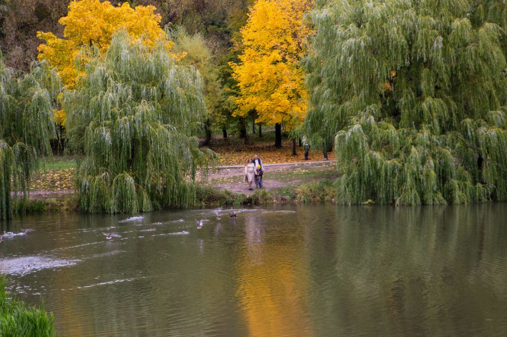 Photograph by Антон Рудской