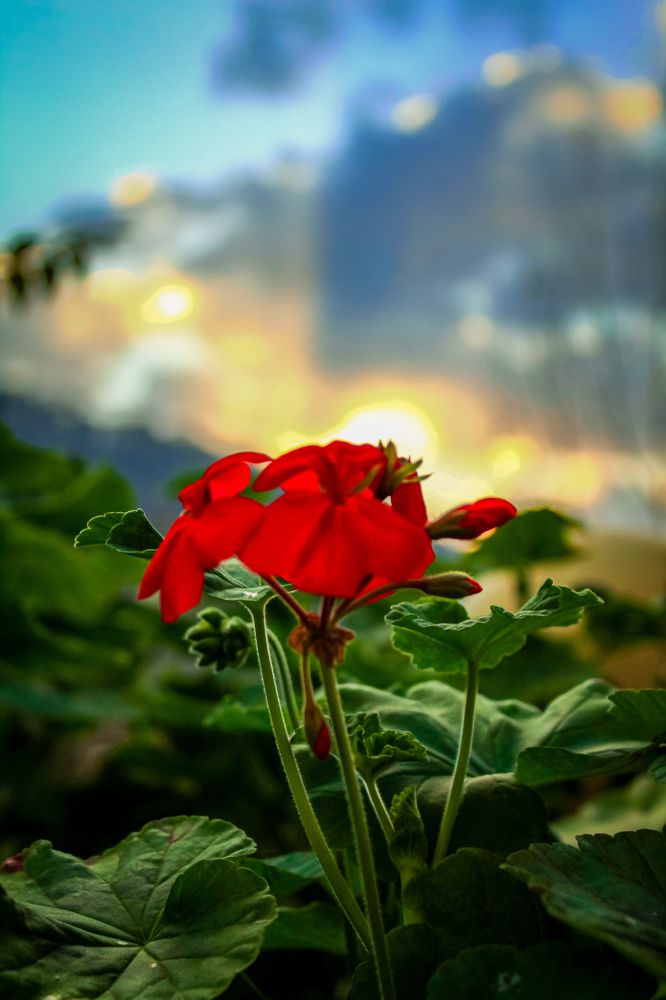 Photograph by talanavard farzad