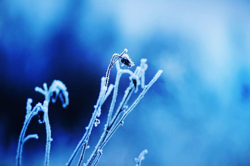 Photograph by Валерия Ватель